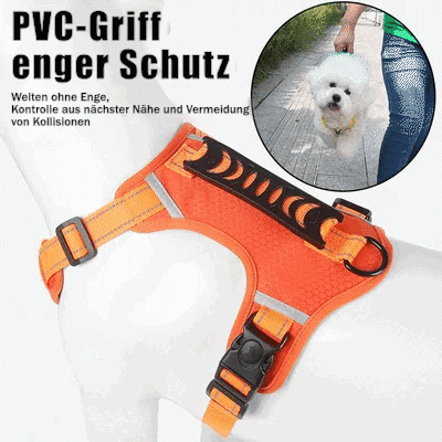 💥 Clearance Sale 49% DISCOUNT 🐕 No Pull Dog Harness for Pets