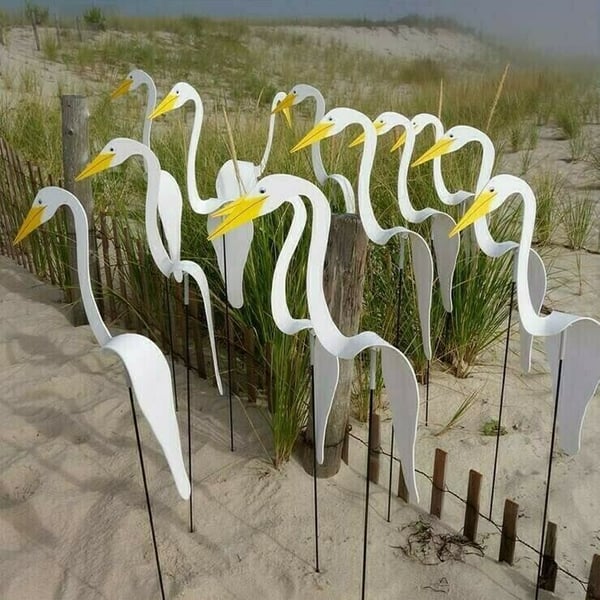 🐓Whirling Flamingo in the Garden💖