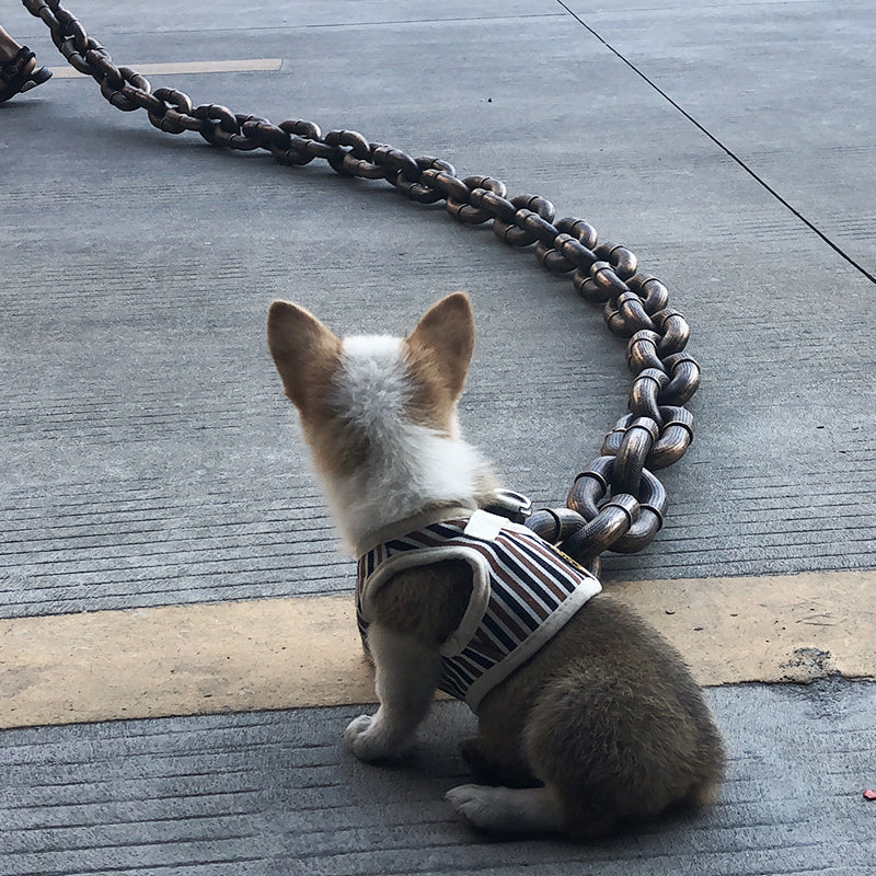 Cool and Fun Dog Lead - PawChic