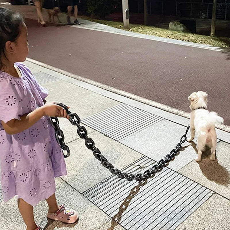 Cool and Fun Dog Lead - PawChic