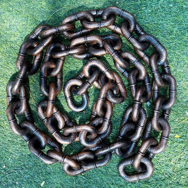 Cool and Fun Dog Lead - PawChic