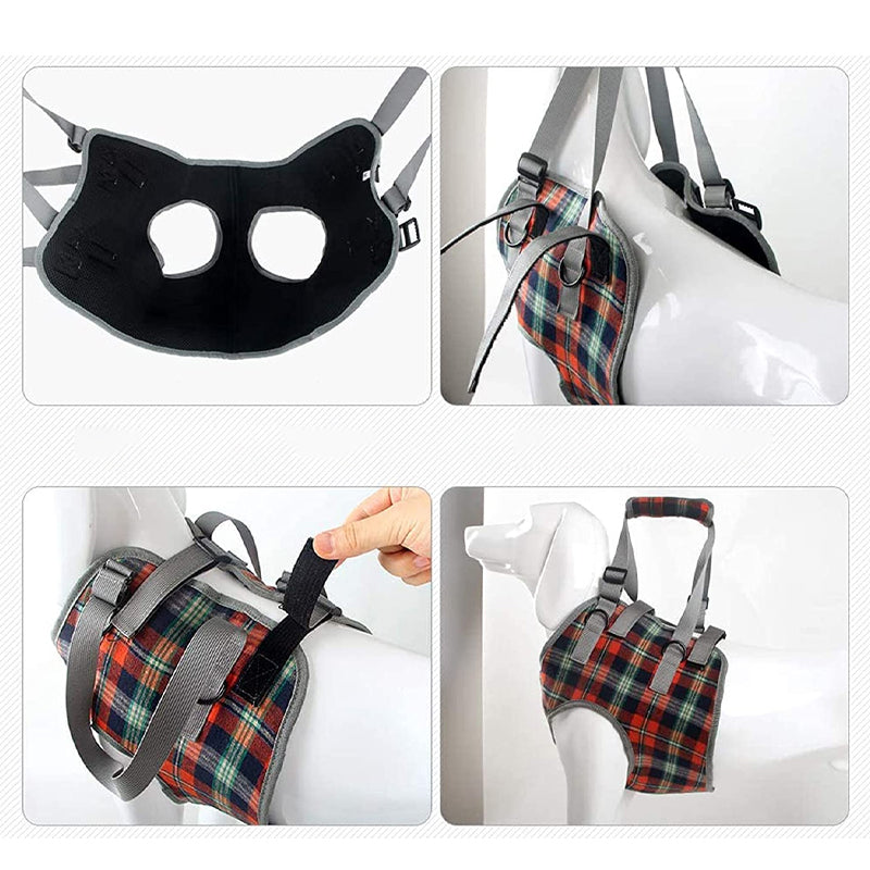 Orthopaedic Harness for Hind Legs