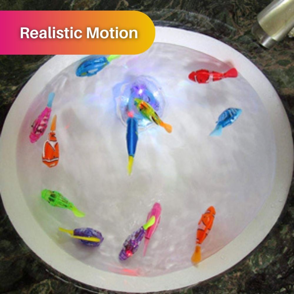 Cat Playset – AquaPurr