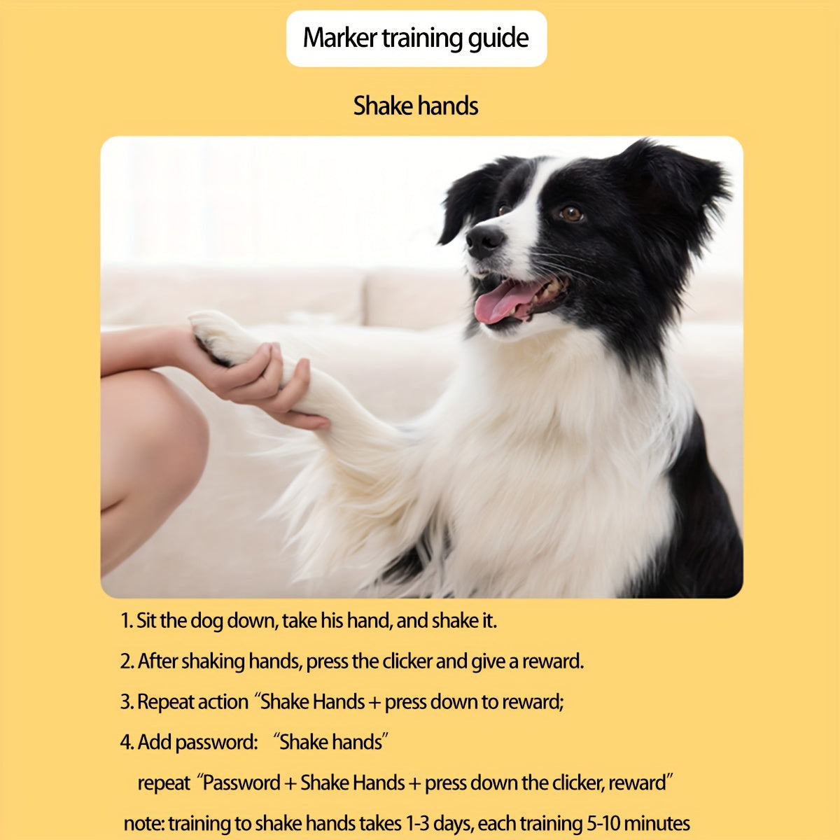Dog Training Button – Improve Your Dog's Commands and Behaviour