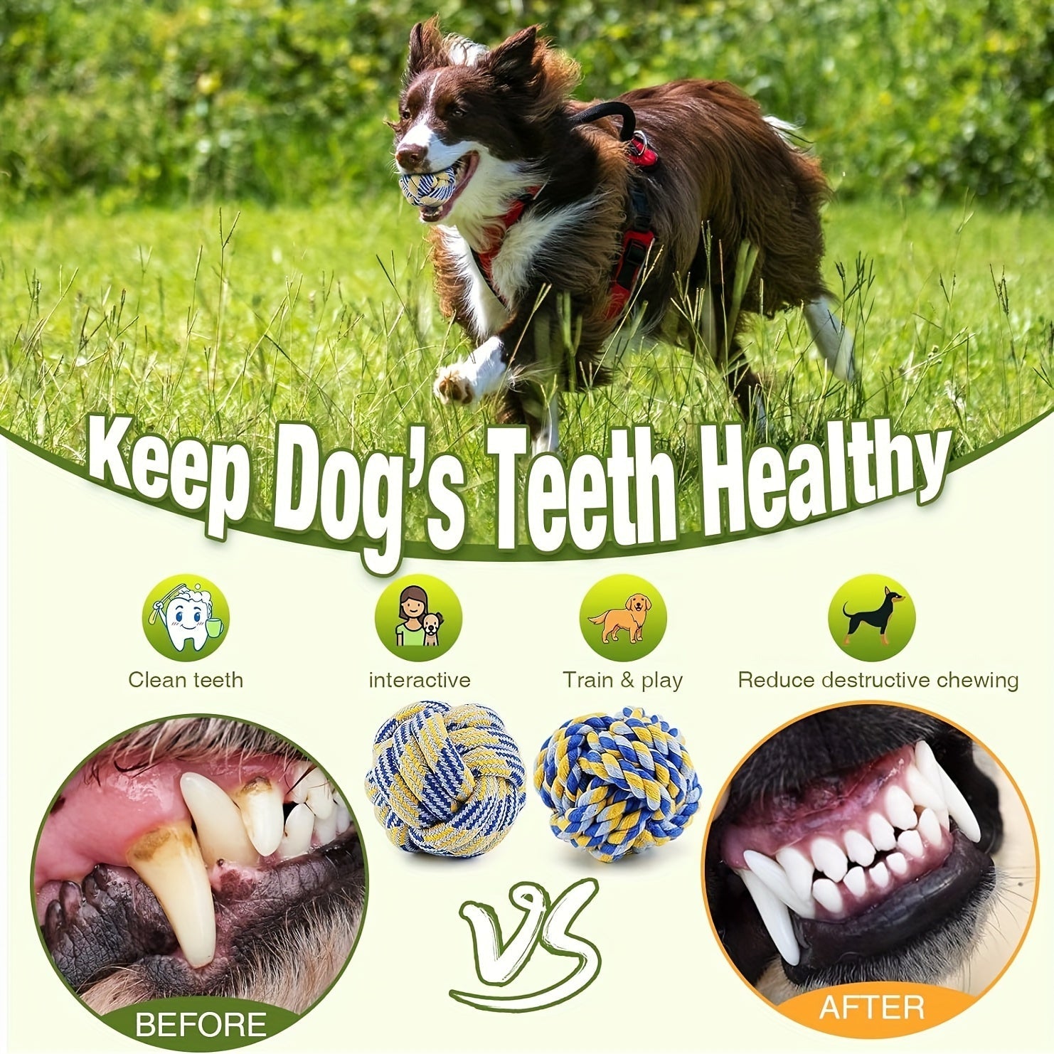 4-Piece Dog Toy Set – Ideal for Chewing, Biting, and Playtime