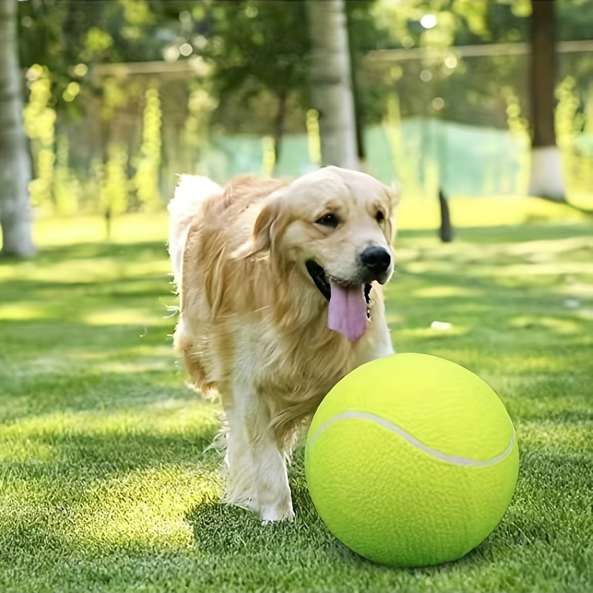 Extra Durable Large Dog Tennis Ball – Ideal for Outdoor Play and Activity
