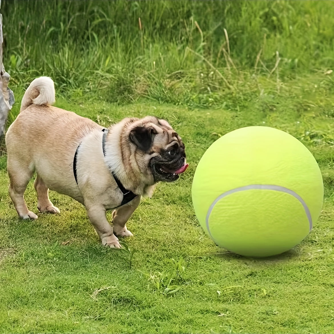 Extra Durable Large Dog Tennis Ball – Ideal for Outdoor Play and Activity