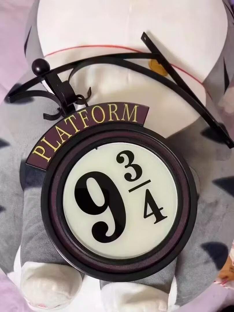 Magical Platform 9¾ Wall Lamp - LumosWall