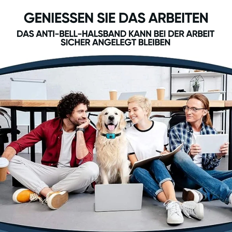 Rechargeable, Waterproof Dog Trainer