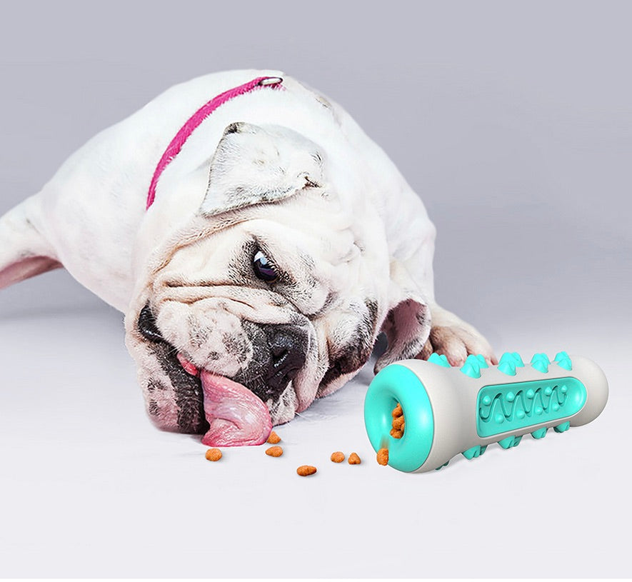 Dog Dental Chew Toy – Chewly