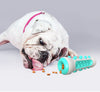 Dog Dental Chew Toy – Chewly