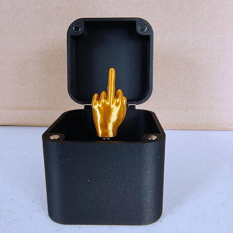 PrankLux Hidden Surprise Box | Unique gag gift for laughter and fun occasions