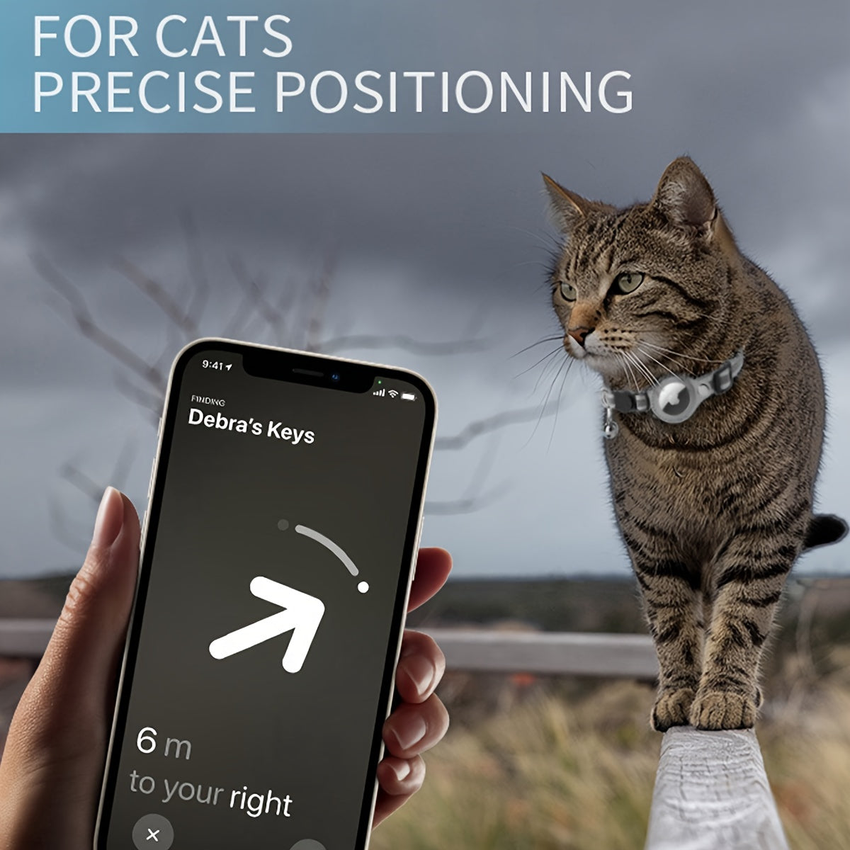 Reflective Cat Collar – Safety Buckle and Bell for Extra Visibility