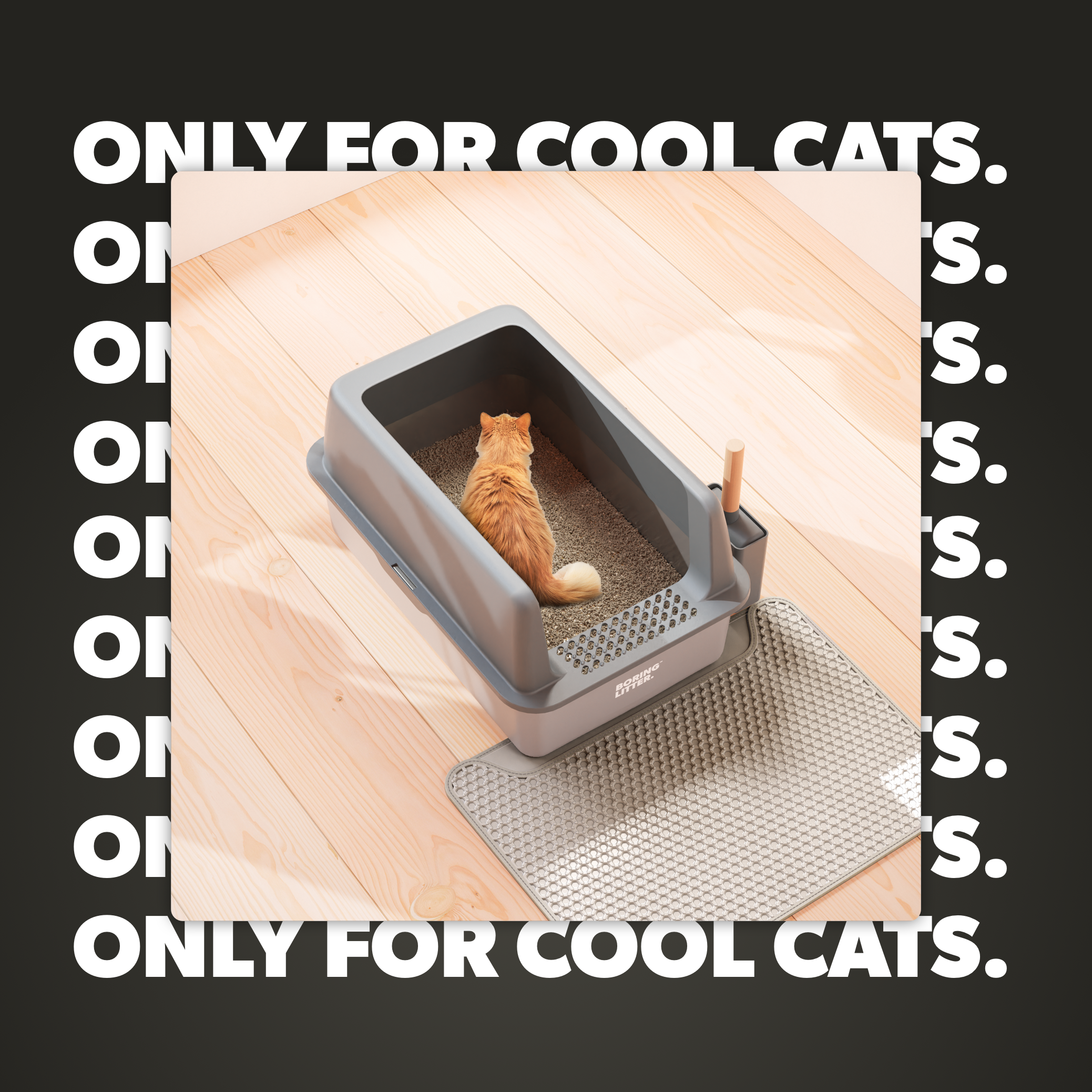 Stainless Steel Cat Litter Tray – SteelClean