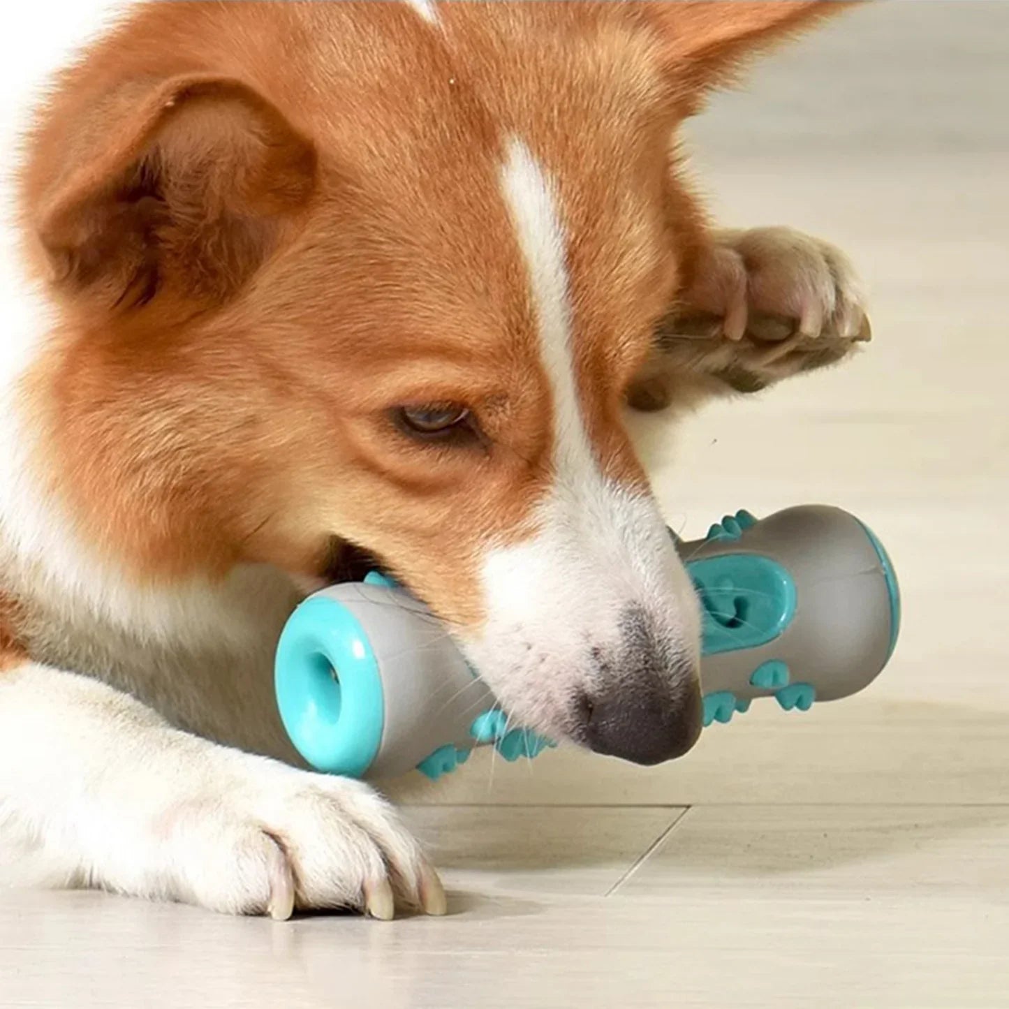 Treat Play Roll for Dogs – Fun and Reward in One