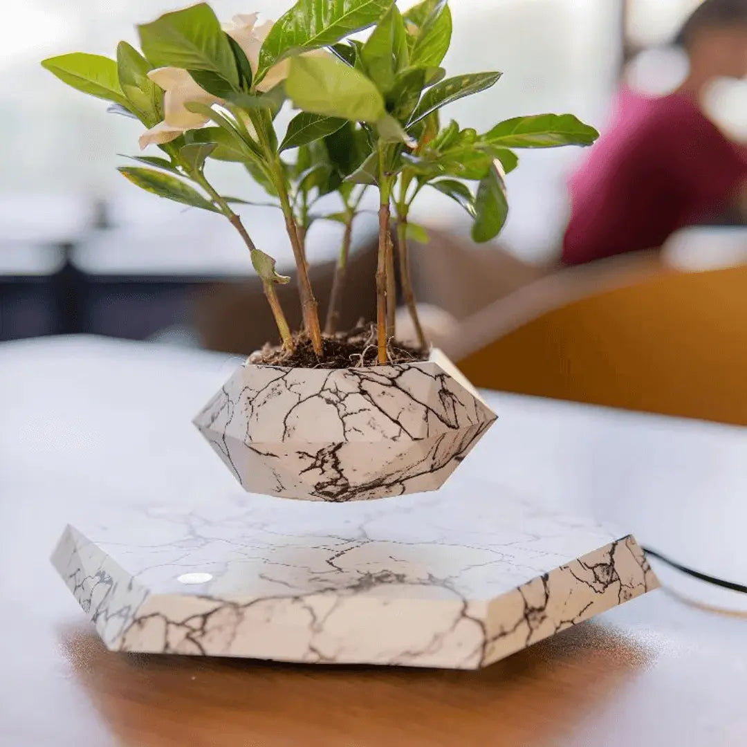 Floating Plant Holder with Magnetic Levitation - Liva