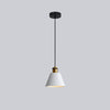 Stylish Morandi Design LED Pendant Light – MoraGlow