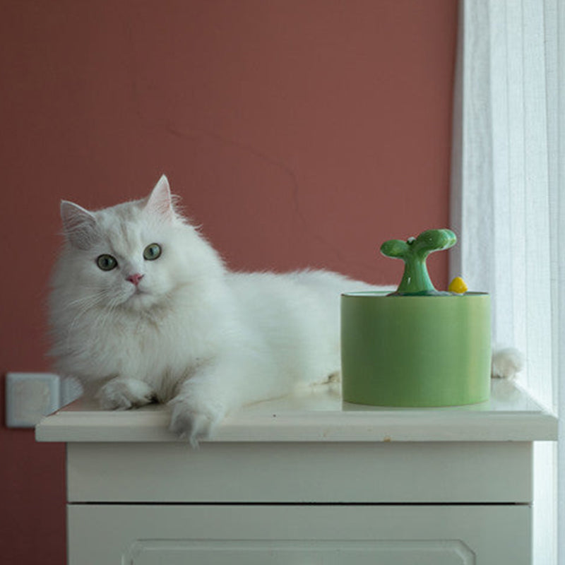 Cat Fountain – SpringFlow™