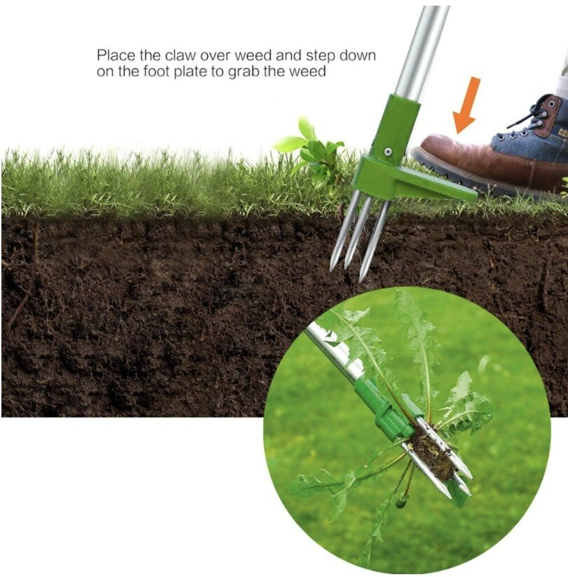 Standing Weeder | Back-Friendly Weed Remover with 1-Metre Telescopic Handle | Aluminium Garden Tool | Removes Weeds with Roots | Easy and Quick Weed Control
