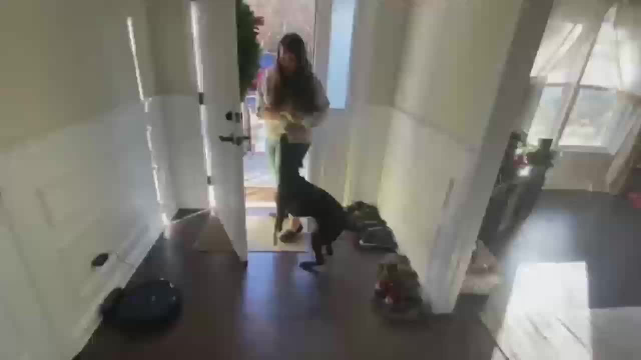 Smart Trainer Pro – Rechargeable Remote Control Dog Collar with Beep and Vibration