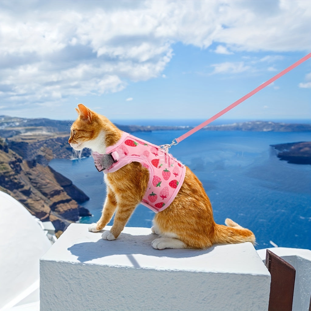 KittyComfort Harness Set - For Cosy Walks and Adventures