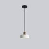 Stylish Morandi Design LED Pendant Light – MoraGlow