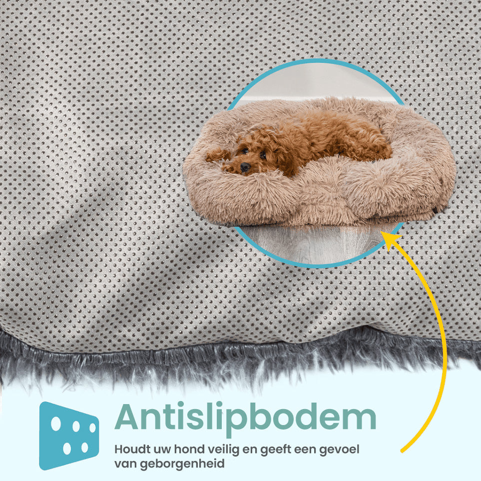 Calming Dog Bed with Memory Foam - Charlie