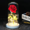 GlowPetal Romantic LED Rose Lamp | Glass Dome Decoration with Soft Light for Special Moments