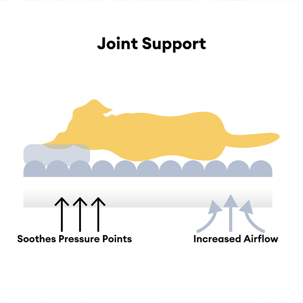 PawComfort - Washable Comfortable Soft Pet Sofa