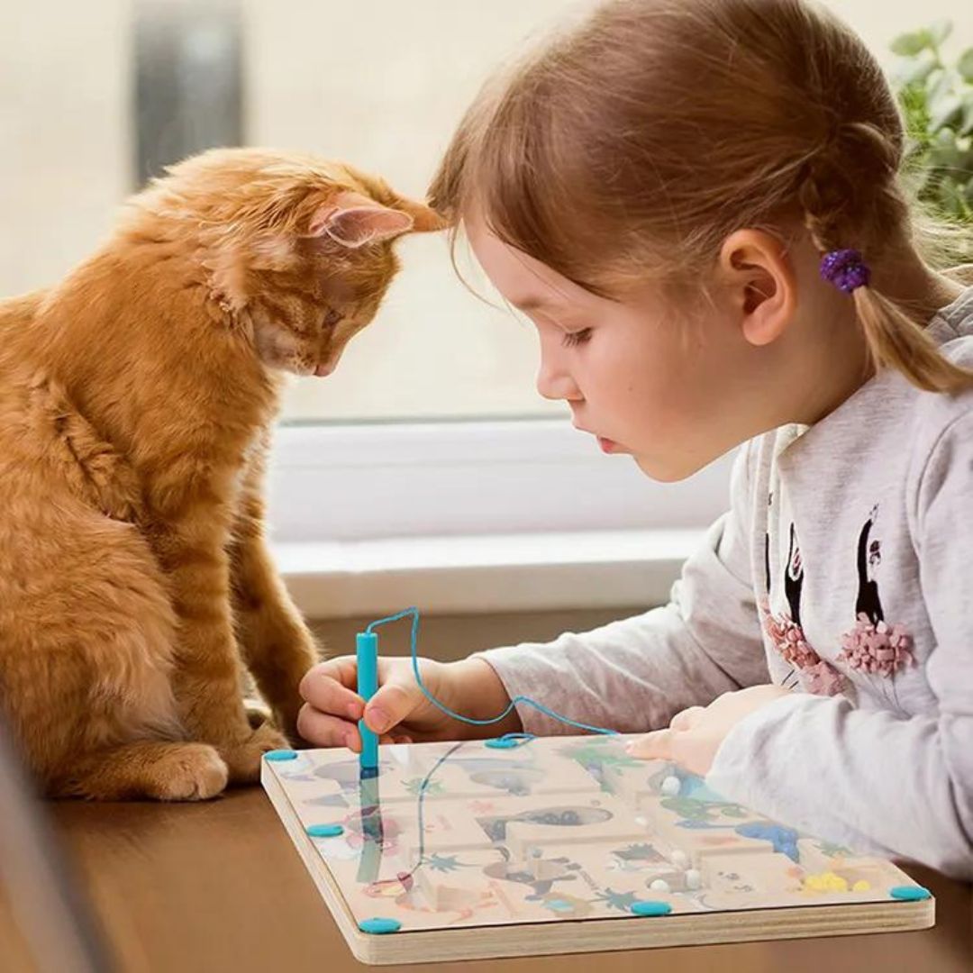 Educational Magnetic Dinosaurs Maze - Learn Colours and Counting