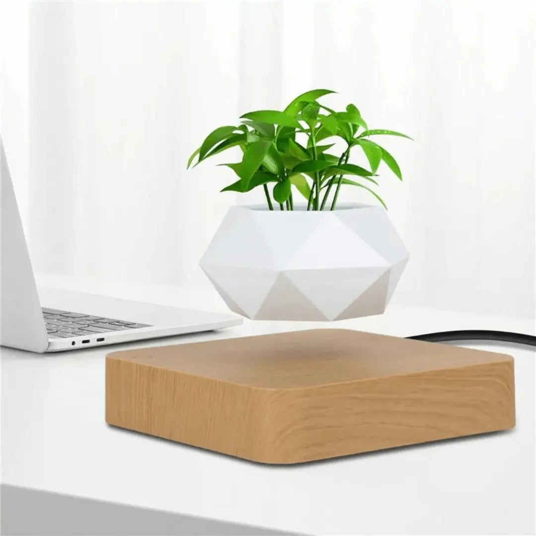 Floating Plant Holder with Magnetic Levitation - Liva