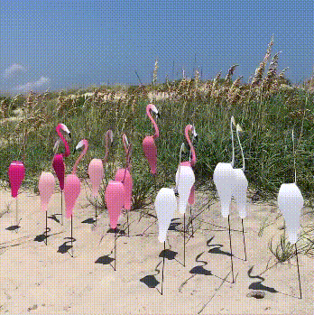 🐓Whirling Flamingo in the Garden💖