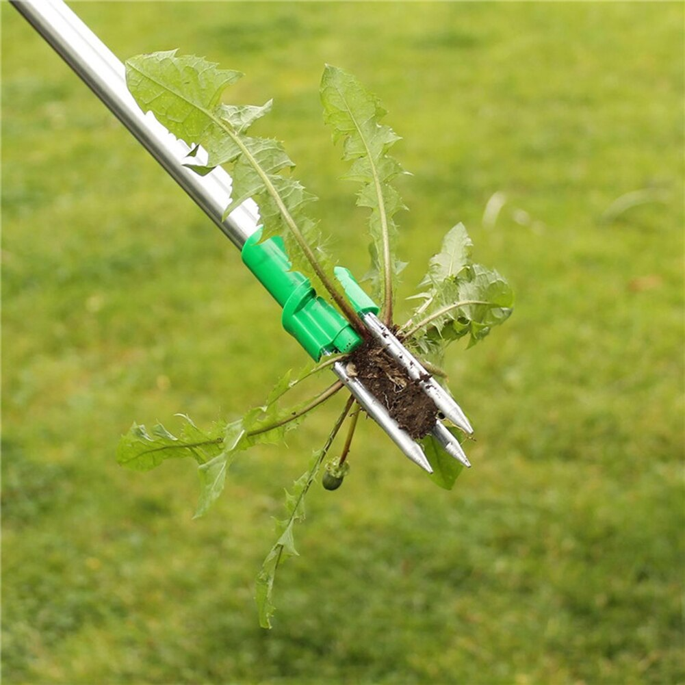 Standing Weeder | Back-Friendly Weed Remover with 1-Metre Telescopic Handle | Aluminium Garden Tool | Removes Weeds with Roots | Easy and Quick Weed Control