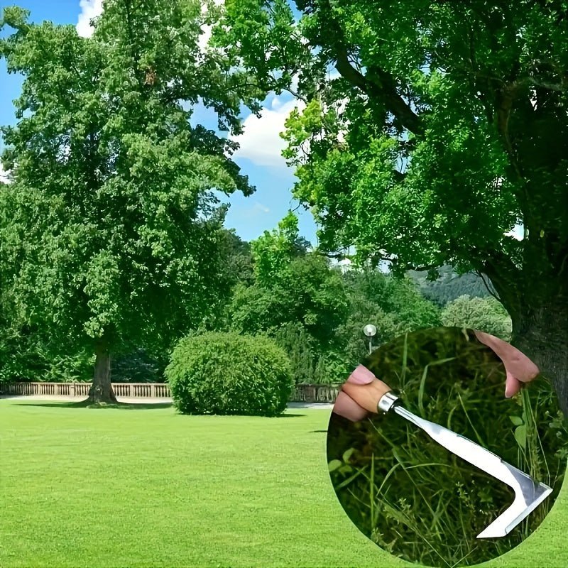 Weed Remover for Paths - Efficient and Handy for Quick Work