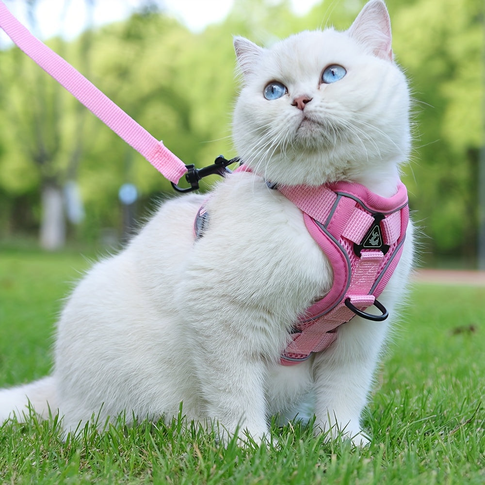 Reflective Cat Harness and Lead Set – Ideal for Walking and Training