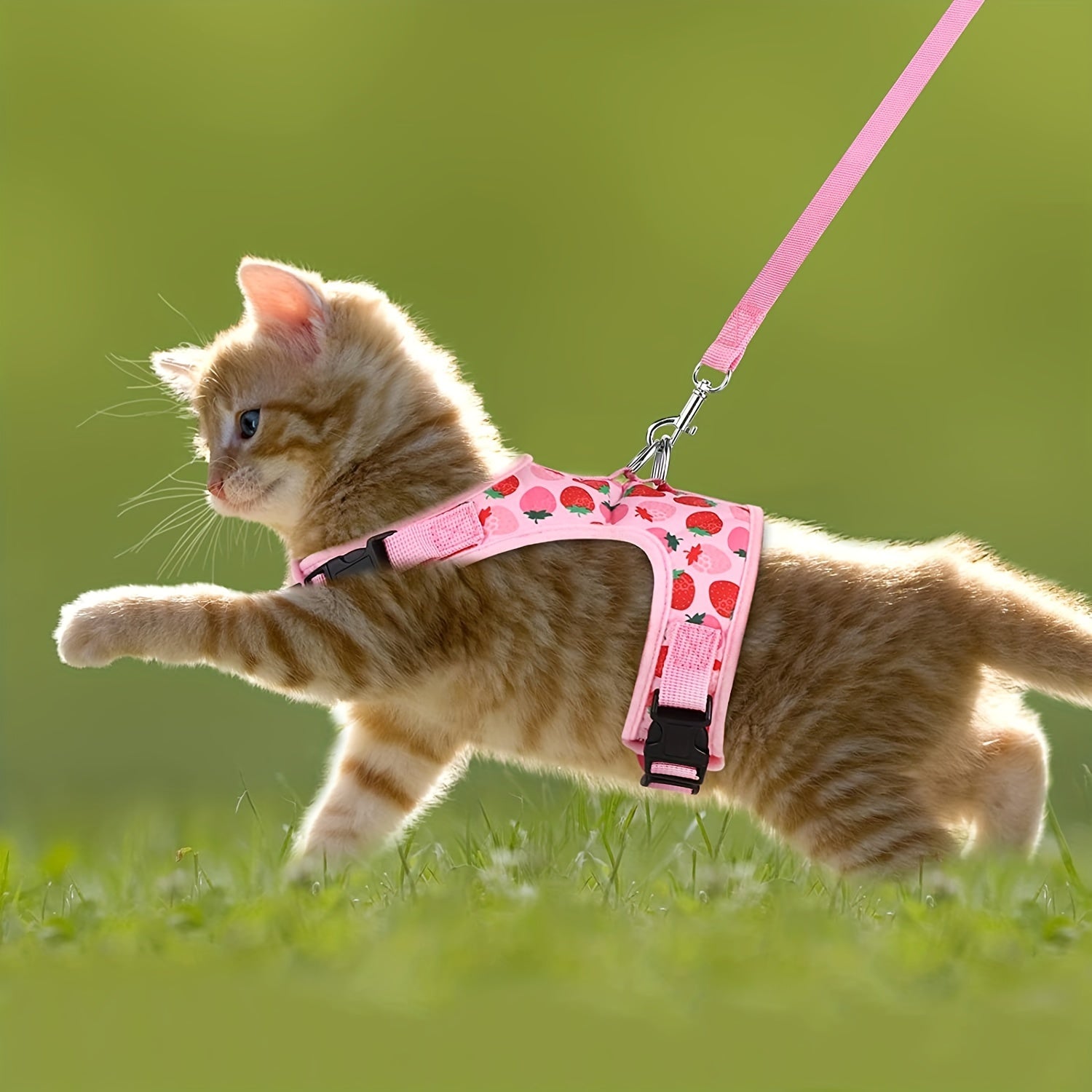KittyComfort Harness Set - For Cosy Walks and Adventures