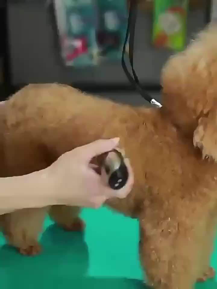 Wireless Pet Clipper – USB Rechargeable and Quiet for Dogs and Cats