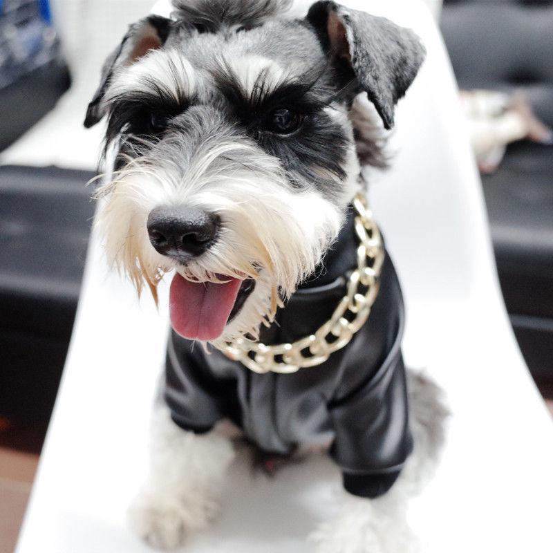 Pet Jewellery Thick Gold Chain Collar