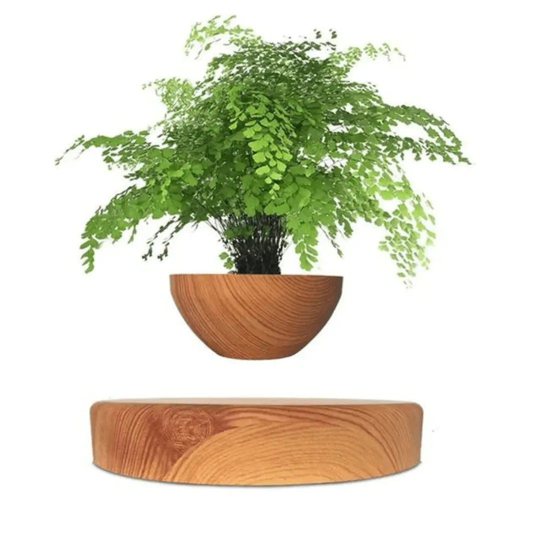 Floating Plant Holder with Magnetic Levitation - Liva