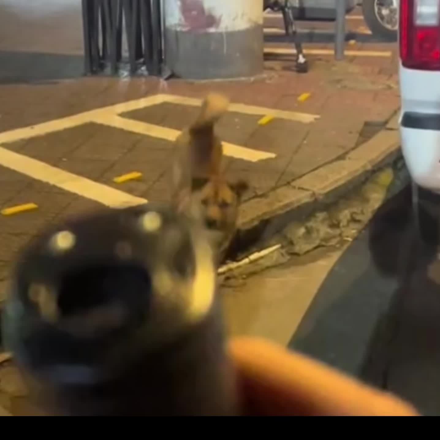 SilentGuard Ultrasonic Dog Deterrent – Calm and Control