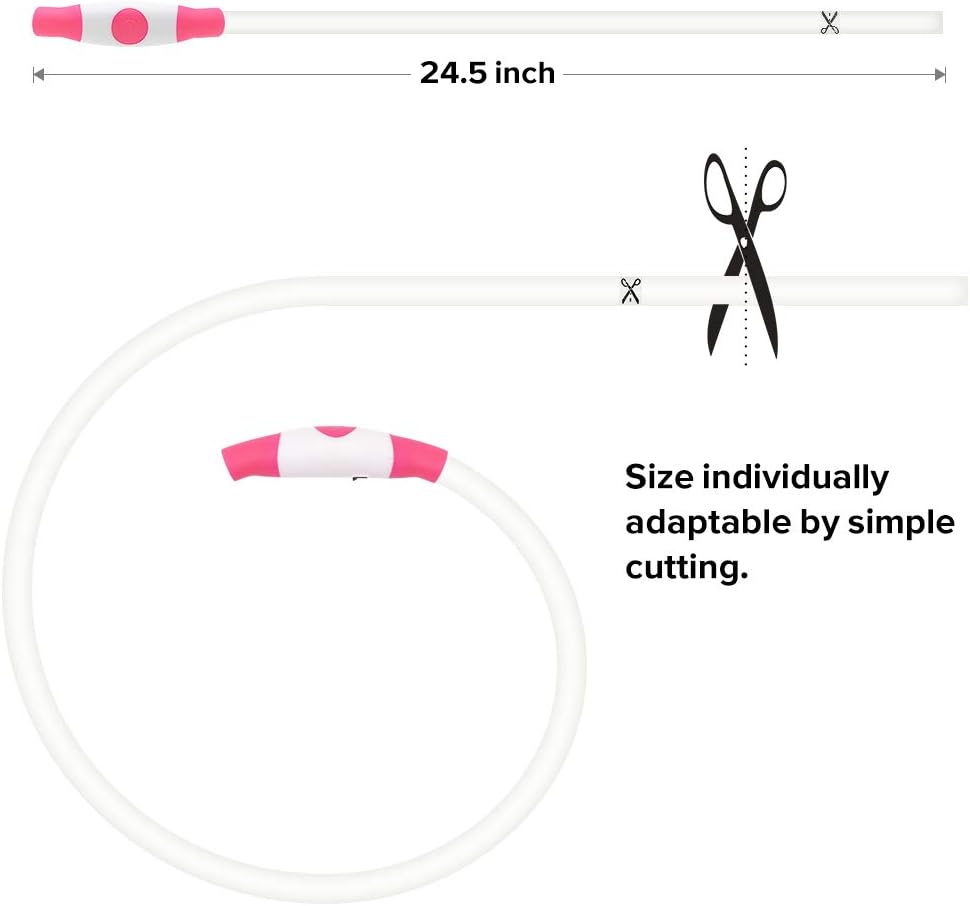 GlowSafe LED Dog Collar – Rechargeable USB Safety Light