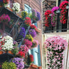 BloomVita Everlasting Orchid Display | Realistic artificial flowers for weddings and events