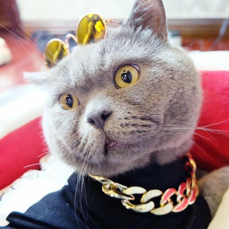 Pet Jewellery Thick Gold Chain Collar