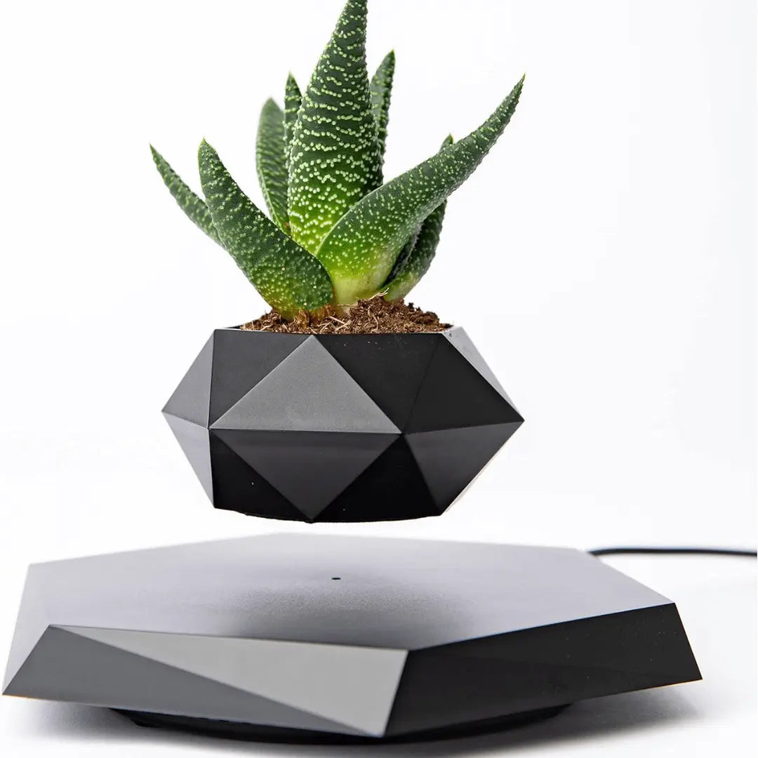 Floating Plant Holder with Magnetic Levitation - Liva