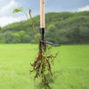 PlantPro Deep Root Shovel | Weed removal made easy with ergonomic design
