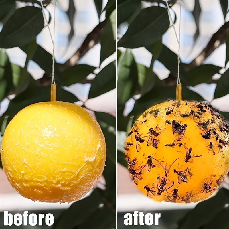 Sticky Fly Traps – Simple Solution for Fly Infestation