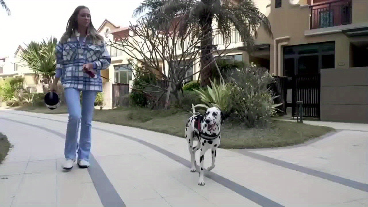 Large Capacity 74oz Dog Water Bottle – Portable Bowl for Outdoor Adventures