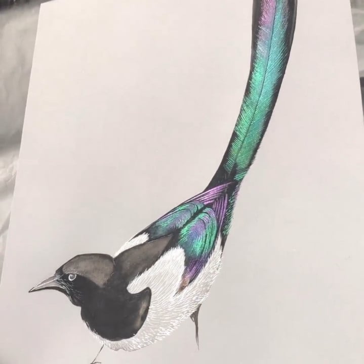 💥 Clearance Sale 😍🎨 20 Colours Watercolour Paint Set