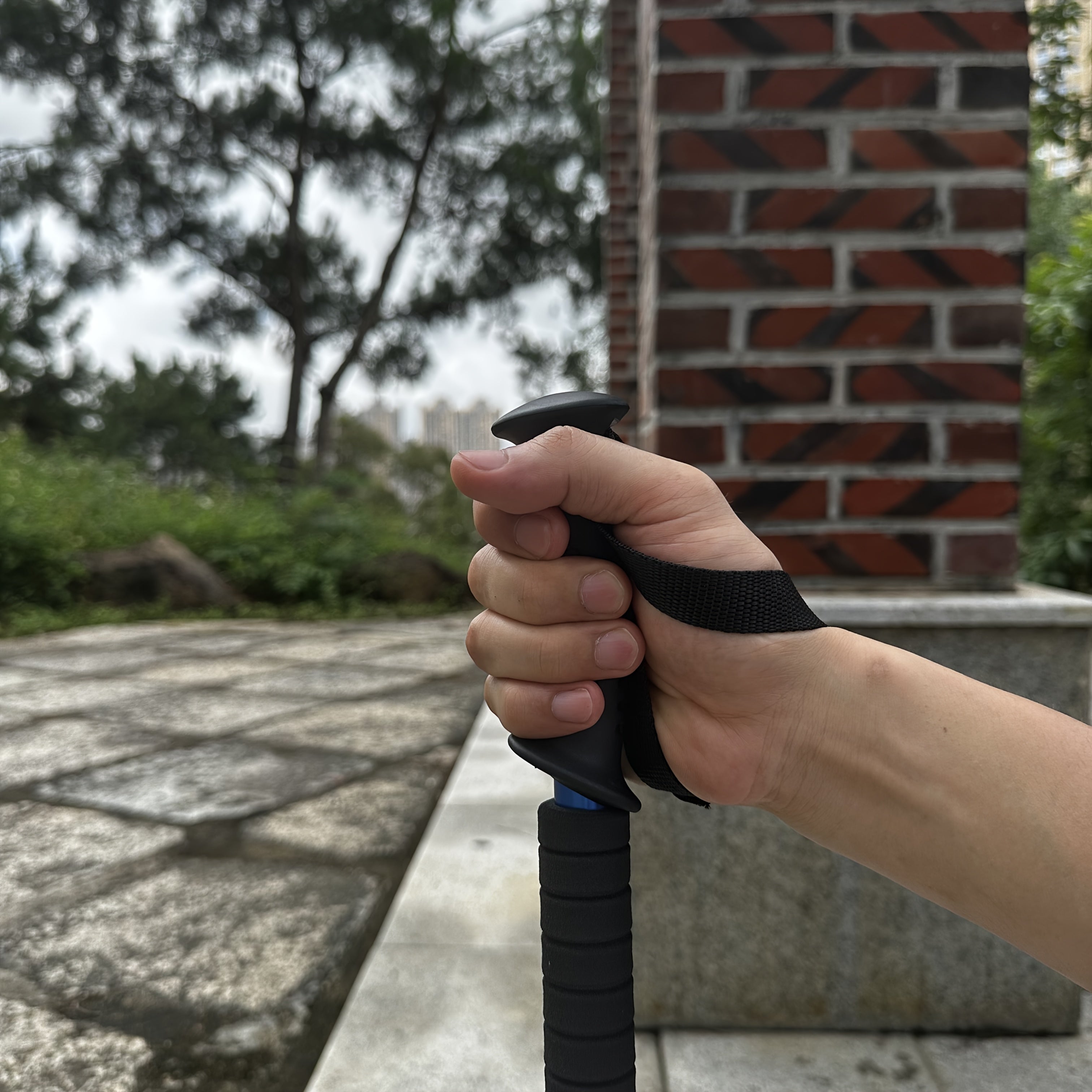 Lightweight Aluminium Trekking Poles – Adjustable and Shock-Absorbing for Adventurous Hikers