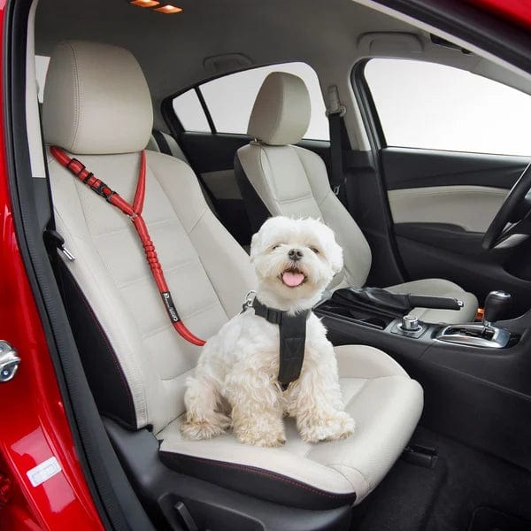 PetSafe - Adjustable Dog Seatbelt